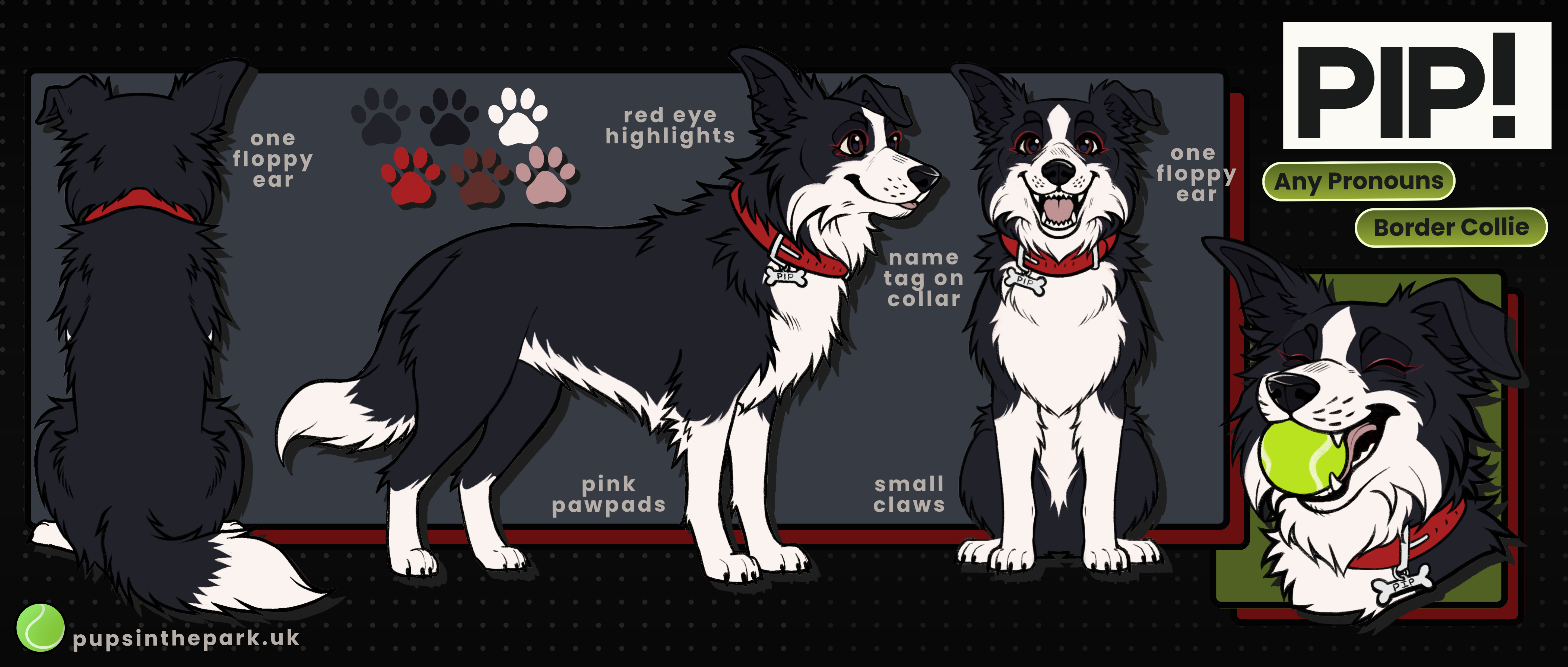 Reference sheet for Pip, the Pups In The Park mascot.